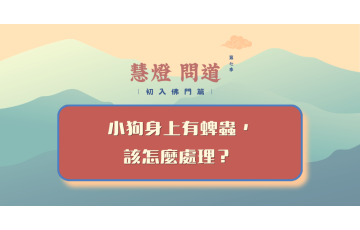 慧影-慧燈問道第七季-初入佛門篇43.png