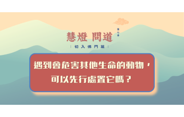 慧影-慧燈問道第七季-初入佛門篇45.png